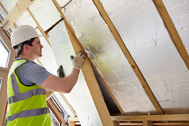 Best Geographic-Specific Insulation Services in USA