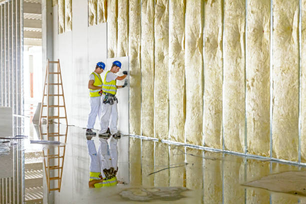 Best Blown-in Insulation in USA